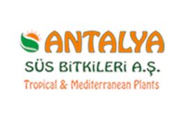 Antalya Ss Bitkileri